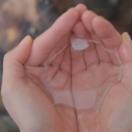 StillCut_1
