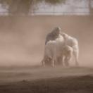 StillCut_9