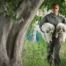 StillCut_5