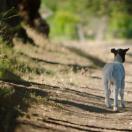 StillCut_13
