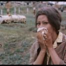 StillCut_5