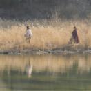 bodo_still_10.jpg