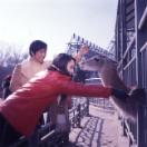 StillCut_9