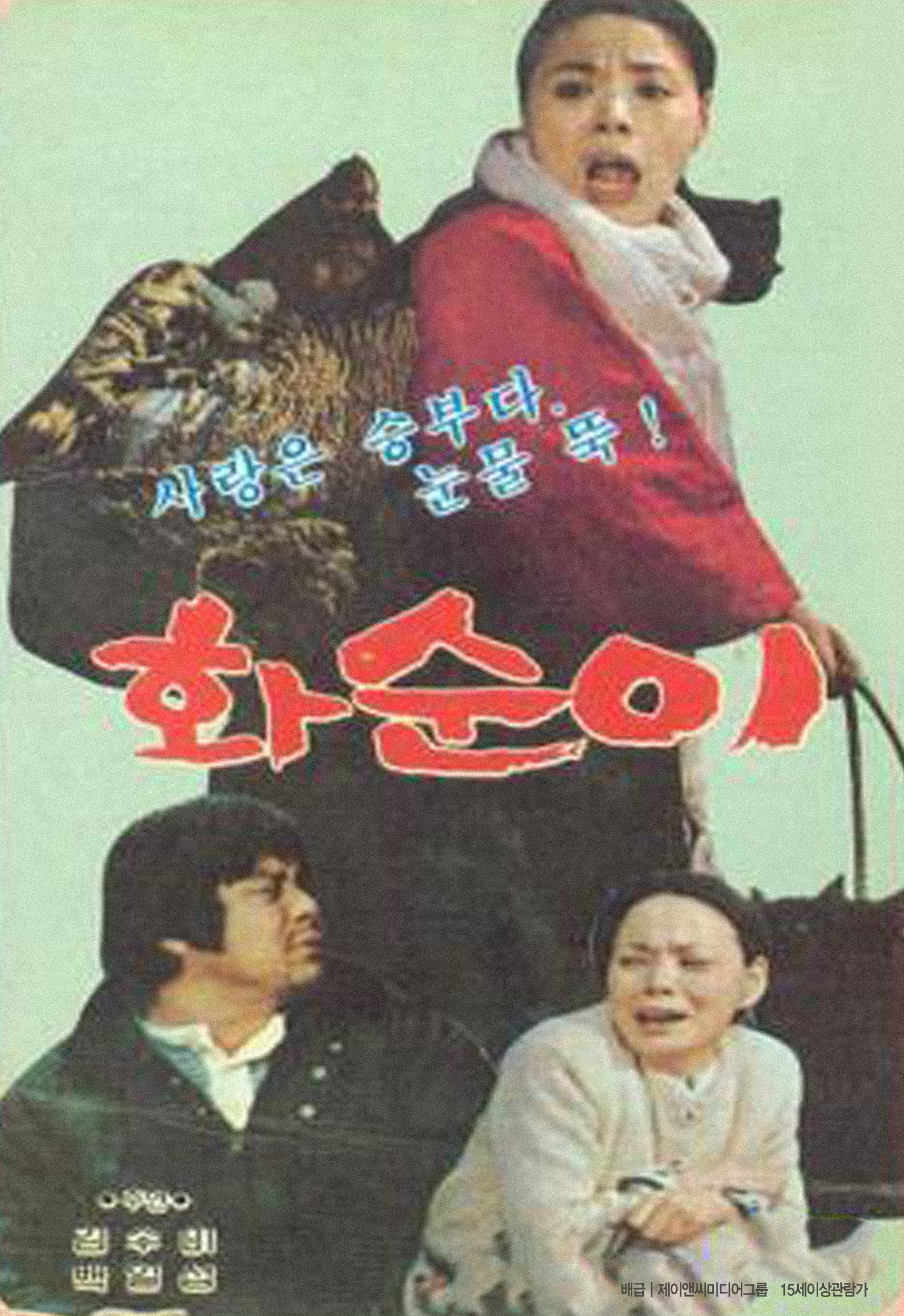 화순이