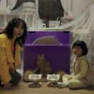 bodo_still_05.jpg