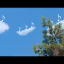 INVISIBLEMELODY.4K.CLEAN.mp4_20250123_073017.350.jpg