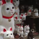 StillCut_3