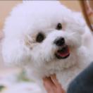 [????]happyhappy_still02.jpg