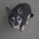 [????][????]?? ??02.jpg