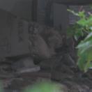 [????][????]?? ??01.jpg