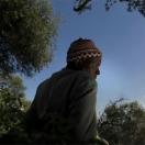 StillCut_3