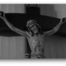 반쪽 먹은 사과의 뒷면_02.png