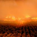 [????]??? ???_????_08.jpg