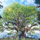 [????]???? ???_??? ??_01.jpg