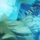 [????]SGK_ep30_2398p_12ch.00_42_31_17_016.jpg
