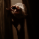 바리아시옹.png