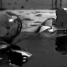Zoom_Still02.jpg