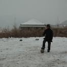 StillCut_0