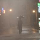 StillCut_0