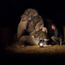 StillCut_0