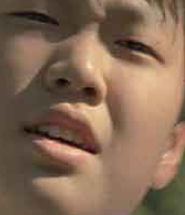 울지 않는다
