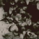 StillCut_0