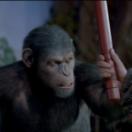 bodo_still_08.jpg