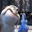 07.jpg