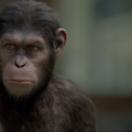 bodo_still_03.jpg