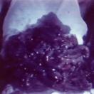 StillCut_0