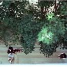 StillCut_0