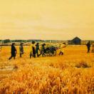StillCut_7