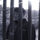 StillCut_0
