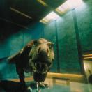 StillCut_0