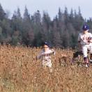 StillCut_1