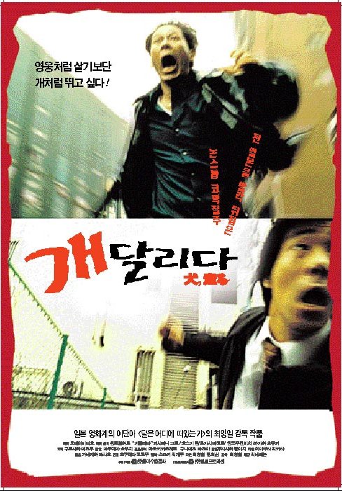 개 달리다