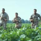 StillCut_0