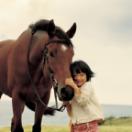 StillCut_0