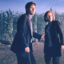 StillCut_0
