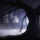 StillCut_0