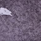 StillCut_0