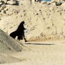StillCut_0