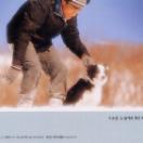 StillCut_0