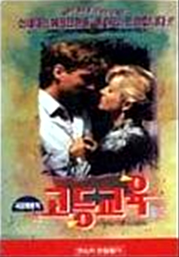 고등교육