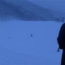 StillCut_0