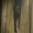StillCut_0