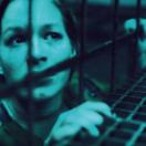 StillCut_0