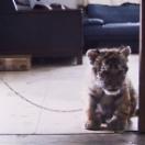 StillCut_10